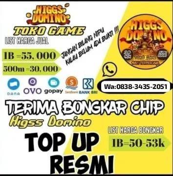 Jasa Agen Domino BRI Terpercaya untuk Anda