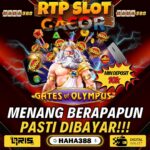 Agen Gacor Resmi: Tempat Terbaik untuk Bermain Judi Online